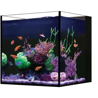 red sea europe Red Sea Desktop Aquarium Set Cube