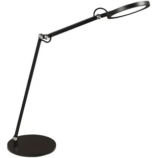 Fabas Luce Regina Schwarz