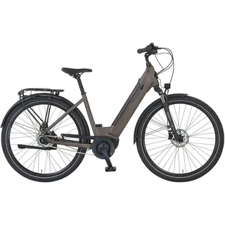 Prophete Geniesser 3.3 28 Zoll RH 48 cm Matt Bronze