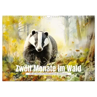 Calvendo Zwölf Monate im Wald (Wandkalender 2026 DIN A3 quer), CALVENDO Monatskalender: Mit den Waldtieren durch die Jahreszeiten (CALVENDO Tiere)