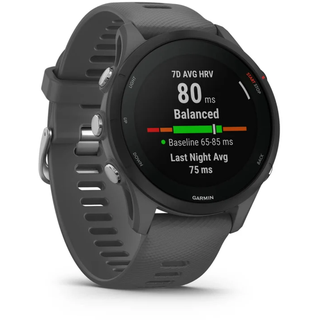 Garmin Forerunner 255 46 mm schiefergrau/schwarz