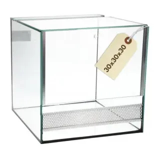 GarPet Terrarium 30x30x30 cm Schnecken Spinnen Amphibien Glas Reptilienbecken