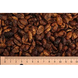 Futtertiere getrocknet (Grundpreis 9,50 Euro/kg) - 2,5 kg Premium Seidenraupen - Koi - Koifutter