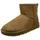 Chestnut 37