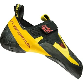 back/yellow 36