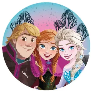 McNeill McAddys Disney FROZEN