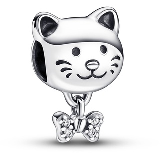 Pandora Charm 792255C01 Silber