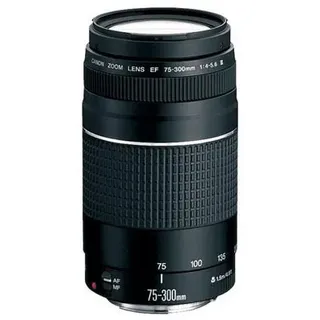 Canon EF 75-300 mm F4,0-5,6 III