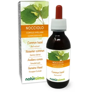 Gemeine Hasel (Corylus avellana) Alkoholfrei Knospen-Extrakt aus frishen knospen Naturalma - Flüssig-Extrakt Tropfen 120 ml - Nahrungsergänzungsmittel - Veganer
