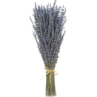 Best ZOIKOM Trockenblumen - Lavendel-Schleierkraut Getrocknet - Boho-Stil Deko - Hochzeit & Festlichkeiten - 90 Stiele à ca. 40 cm: 45x Lavendel, 45x Schleierkraut