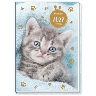 Trötsch Verlag Taschenkalender Katze 2027 Mini-Terminkalender A7