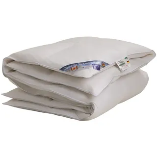 Germania Bettwaren Vitaschlaf® Canada SCHNEEGÄNSE W3 - Sommer/ÜBERGANGSZEIT Daunendecke 100% Gänsedaune Canada Made in Germany Since 1947 (135x200 cm)