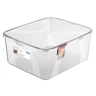 Rotho Lona inkl. Deckel 19 L transparent Aufbewahrungsbox
