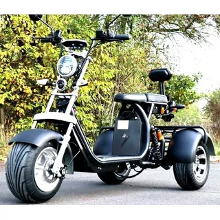 E-Scooter Coco Trike Bike Dreirad 60V 21ah 2000Watt mit Straßenzulassung Roller
