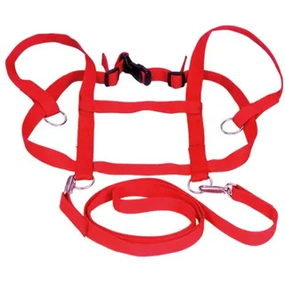 Pferdeleine Einspänner - Rot