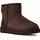 Dusted Cocoa 36