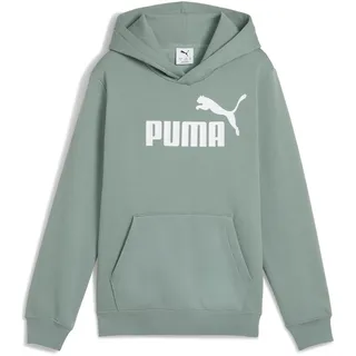Puma Jungen No. 1 Logo Hoodie FL B Kapuzenpullis, Green Moon, 128