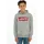 Hoodie Grey 98