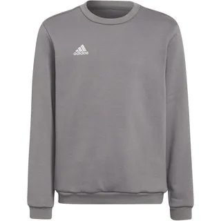 adidas Entrada 22 Grey 128