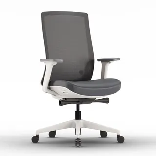 ofinto Ergonomischer Bürostuhl Ergo Mit Armlehnen Verstellbar, Mit Lordosenstütze Weiß