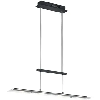 Reality Leuchten LED-Pendelleuchte MILOS, 80 x 170 cm - 4-flammig - Schwarz - Transparent - Glas - Metall - höhenverstellbar