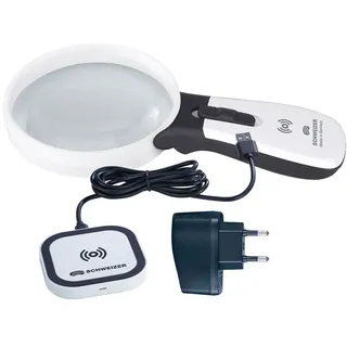 Schweizer ERGO-Lux i mobil
