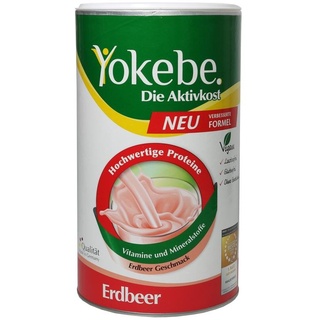 Erdbeer Pulver 500 g