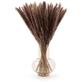 Blumtal Pampasgras Trockenblumen, 50 Stück, 58–60 cm, Naturbraun | Echtes, extra fluffiges Pampasgras für Trockenblumensträuße und langlebige Boho-Wohndeko in Naturbraun