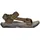 dark olive/desert palm 42