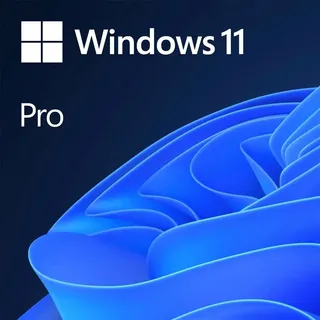 Microsoft Windows 11 Pro DVD DSP/SB DE
