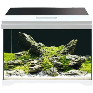 AMTRA MODERN Tank 40 LED - Aquarium komplett mit LED-Beleuchtung und Innenfilter/cm 42,5x23,5x36,5/28 Liter