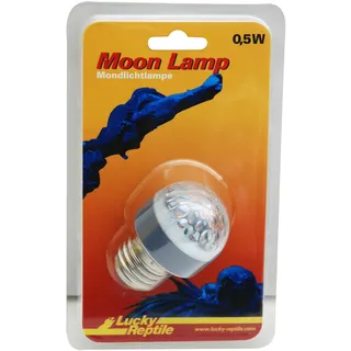 Lucky Reptile Moon Lamp