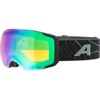 Alpina Skibrille