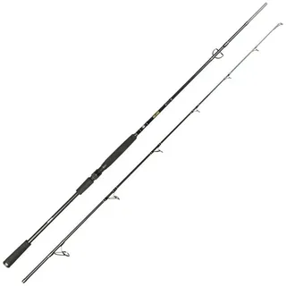 Spro Big Lure Spin Rod - Big Bait Spinnrute, Angelrute zum Hecht und Welsangeln (2.40m 60-180g)