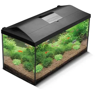 as aquaristik & heimtierbedarf gmbh & co. kg Aquael Aquarienset LEDDY Day&Night 75 schwarz 2.0 Aquarium Set