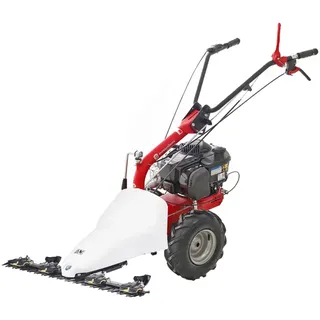 Eurosystems P55 EVO  Mehrzweckgerät Balkenmäher mit Doppelmesser  B&S 675 EXI