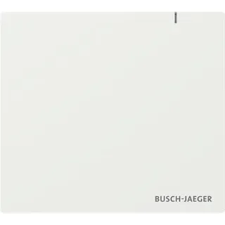 Busch-Jaeger System Access Point 3.0 Wireless, 2CKA006200A0967 SAP13WL