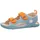 Hase 23
