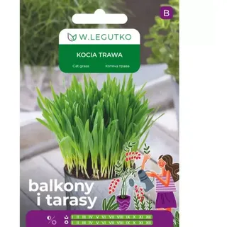 Katzengras