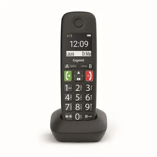 Gigaset E290HX