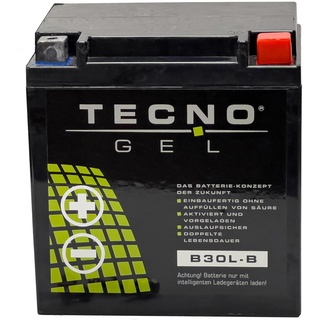 TECNO-GEL Motorrad-Batterie für YB30L-B für Harley Davidson FLTR alle 1450, 1584, 1690, 1745, 1800, 12V Gel-Batterie 30Ah, 168x132x176 mm