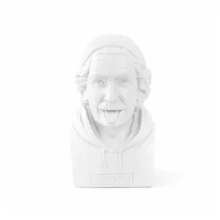 donkey products Money Box Einstein