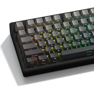LQXQ PBT 136 Tasten Transparente, Double Shot Profile Cherry Shine Through Keycaps, Custom Tastenkappen Schattierte Tasten für ANSI US Mechanische Tastaturen - Grau