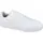 Cloud White Cloud White Cloud White 44 2/3