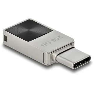 DeLock Mini USB Stick, 256GB, Silber/vernickelt