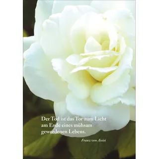 Kartenkaufrausch Trauerkarte: Der Tod ist das Tor zum Licht am Ende eines mühsam gewordenen Lebens. - Kondolenzkarte mit schöner Rose • einfühlsame Anteilnahme Grußkarte um zu kondolieren