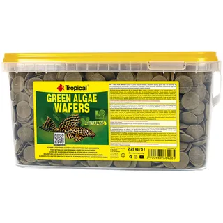 Tropical Green Algae Wafers
