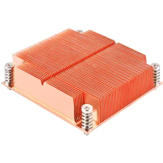 Silverstone Xenon XE01-2011