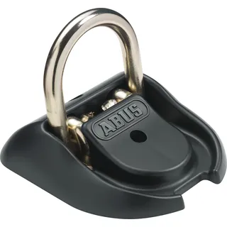 ABUS Granit WBA 100