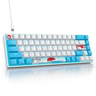SbocKeeb Gaming Tastatur Mechanische 60 Prozent, Mini RGB Tastatur 65 Prozent Amerïka QWERTY, 68 Tasten Kabelgebundene Tastatur Hintergrundbeleuchtung für PC Gamer(68 Sea Blue Switch)